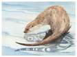 The Otter
